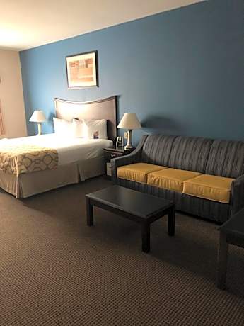 King Suite with Roll-In Shower - Mobility/Hearing Accessible - Non-Smoking