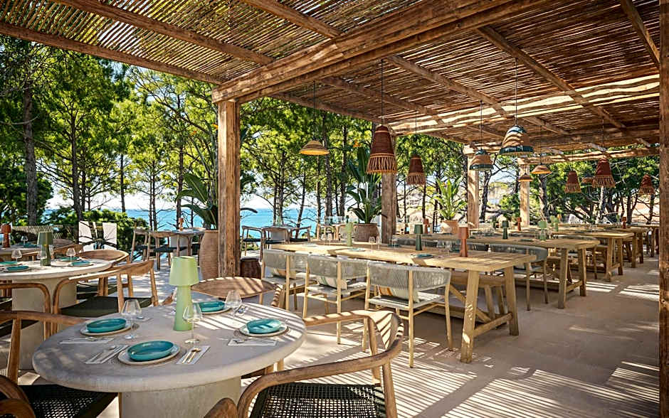 Iberostar Waves Pinos Park