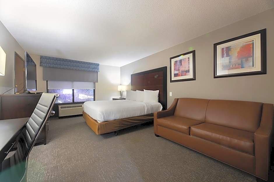 Wingate By Wyndham Atlanta Galleria Center