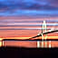 Cambria Hotel Mount Pleasant - Charleston