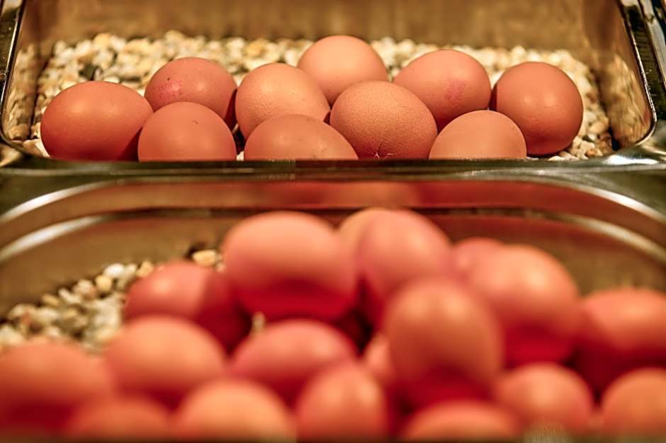 Hotel Im Schützenhof, Jever