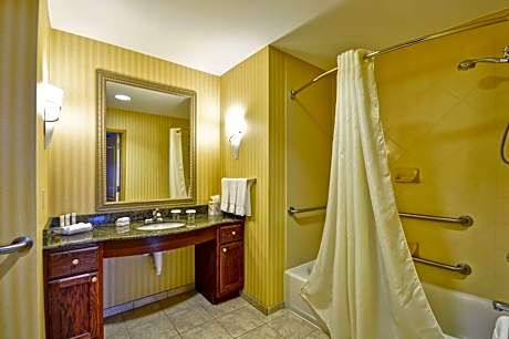 Premium One-Bedroom King Suite - Non-Smoking