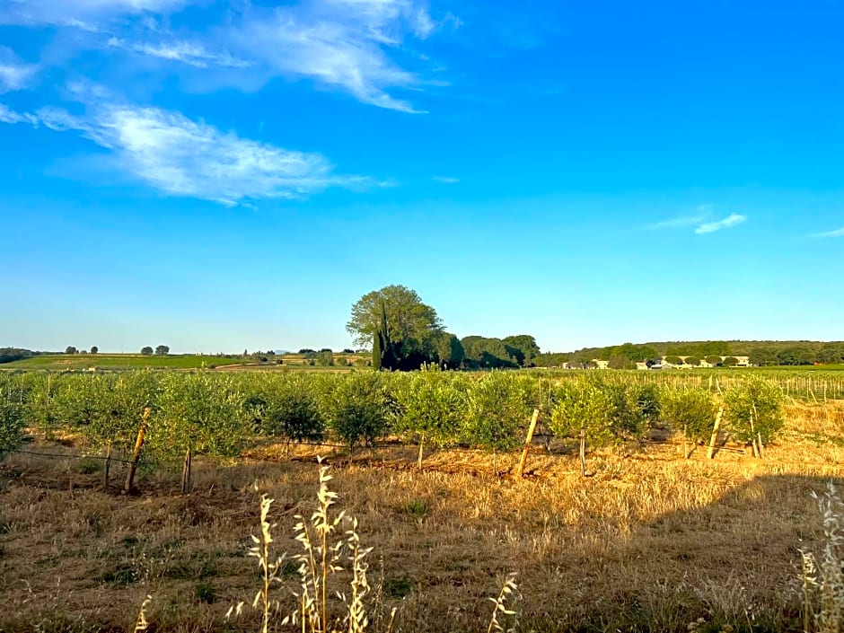 Domaine de Panery