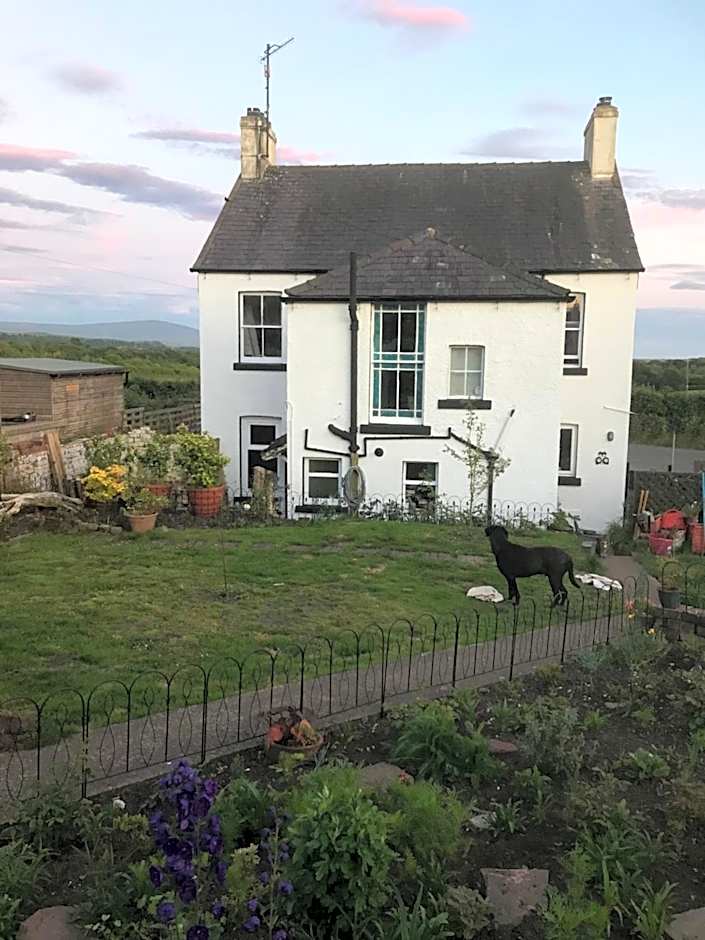 Dale View bed & breakfast