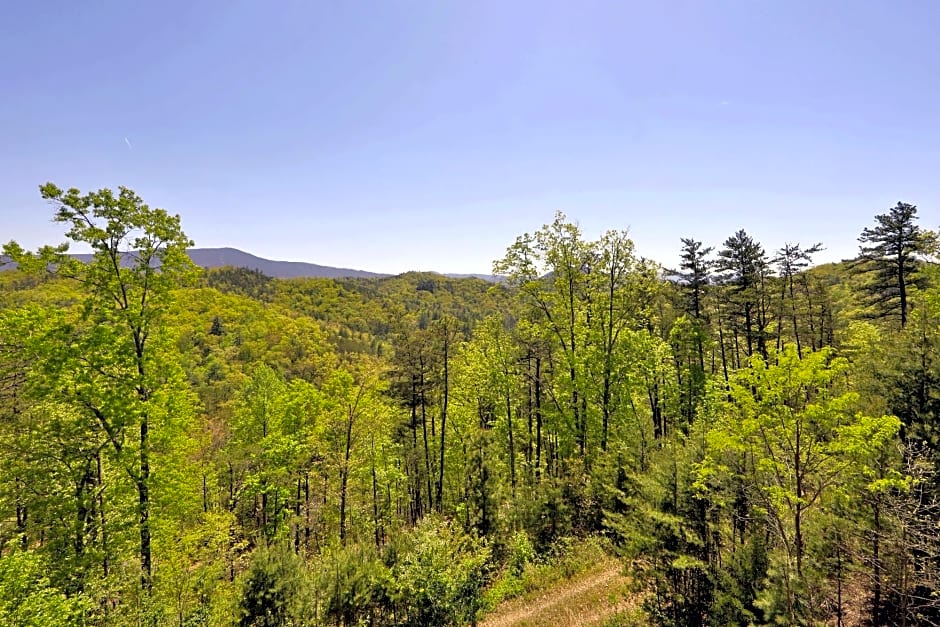 BearADise in the Smokies - Two Bedroom Cabin