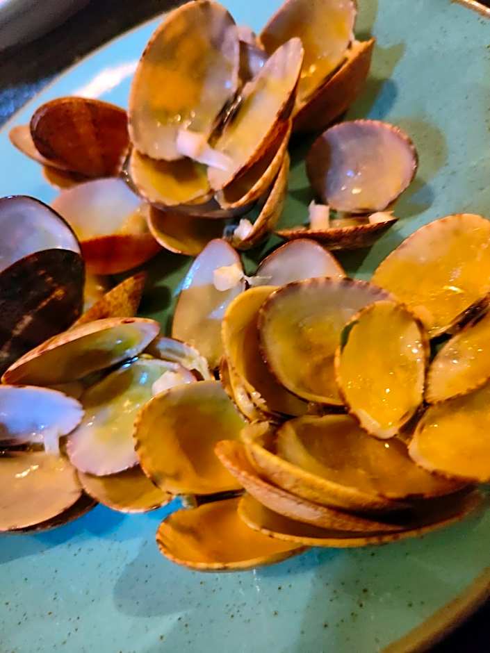 Agorastos Luxury Living