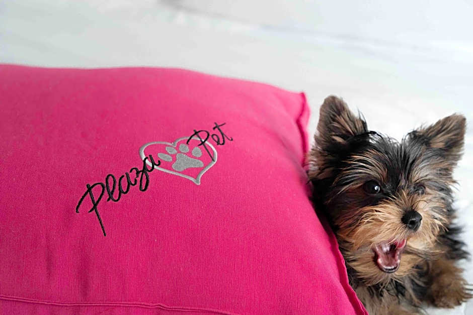 Plaza São Rafael Hotel