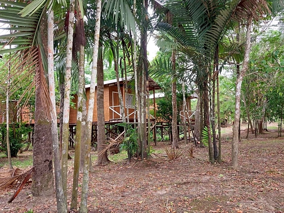 Seringal jungle Lodge