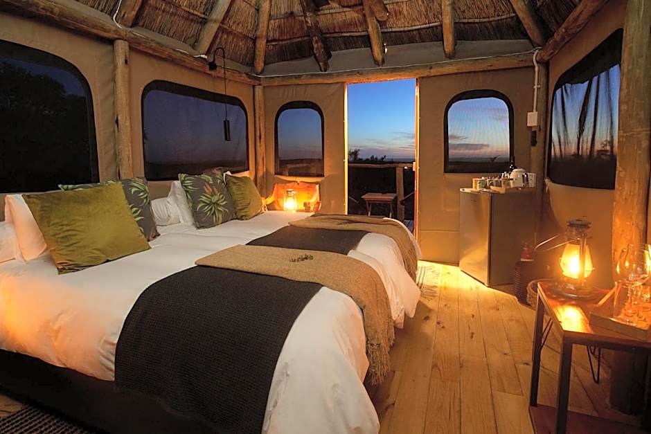 Addo Elephant Safari Lodge - Bellevue Forest Reserve