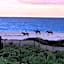 Kimpton Mas Olas Resort and Spa By IHG