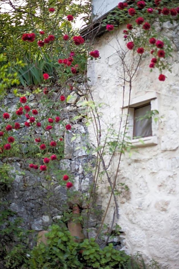 Fattoria La Tana della Volpe