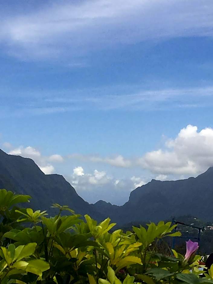 Ô cœur de l’île