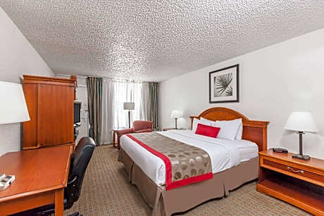 1 King Bed Suite Non-Smoking