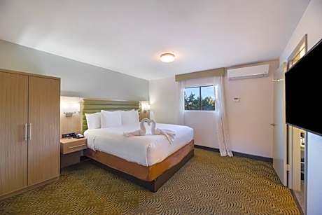 Premium Suite Mountain View