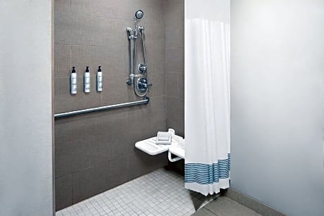 Suite, 1 Bedroom (1 King Bed and 1 Double Sofa Bed)