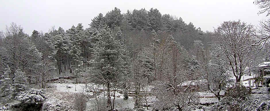 Albergo Villa Margherita