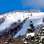 Shiga Kogen Prince Hotel