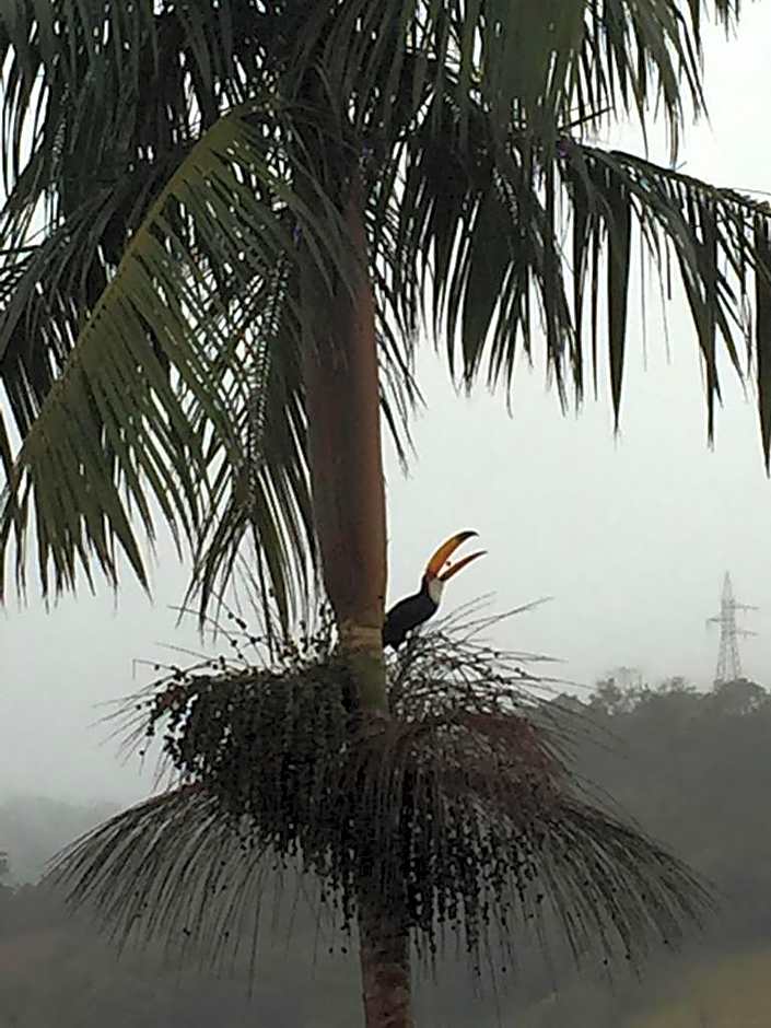 Vertentes da Mantiqueira