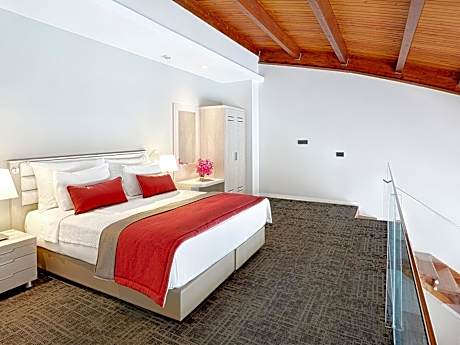 Duplex Suite