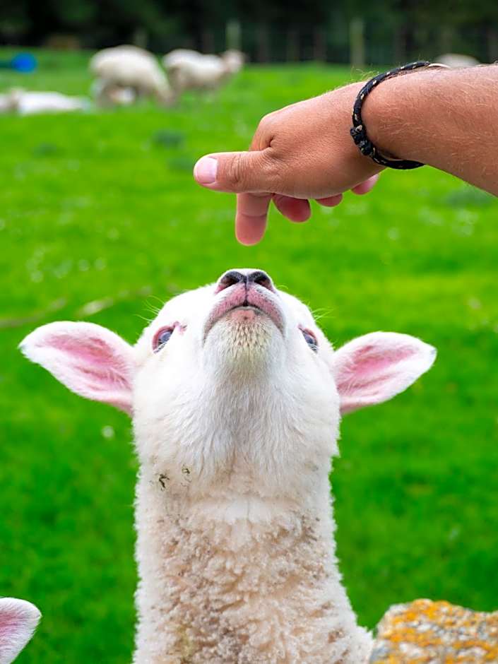 Little Red School House
