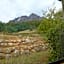 Silver Ridge Retreat