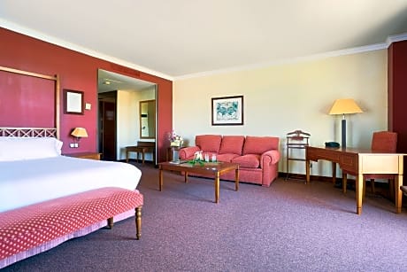 Deluxe Junior Suite