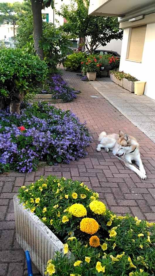 Hotel Meublè Villa Patrizia