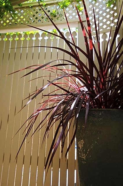 Astoria Retreat Bed & Breakfast