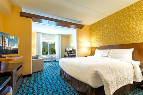 SUITE, 1 KING BED WITH SOFA BED