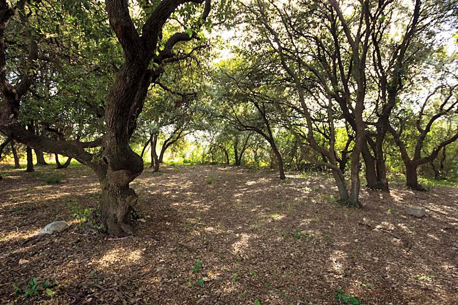 Masseria Poli Country House
