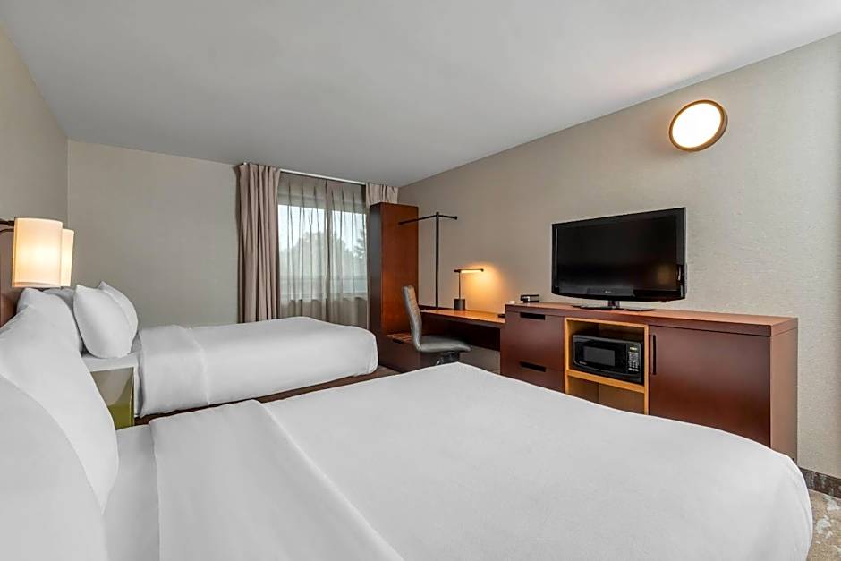 Comfort Inn Dryden