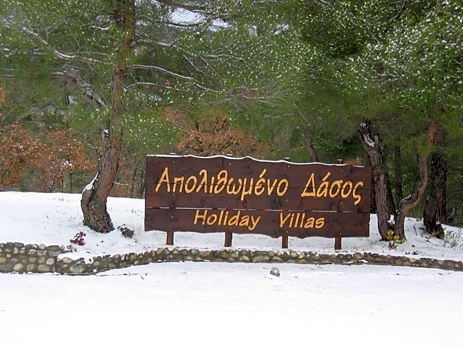 Apolithomeno Dasos Holiday Villas near Alexandroupolis