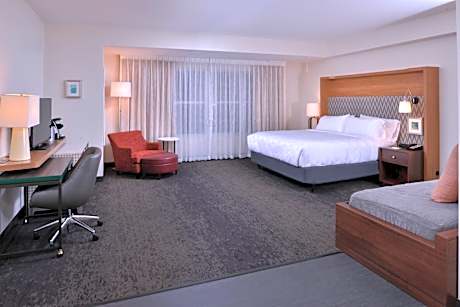 1 Bedroom Suite