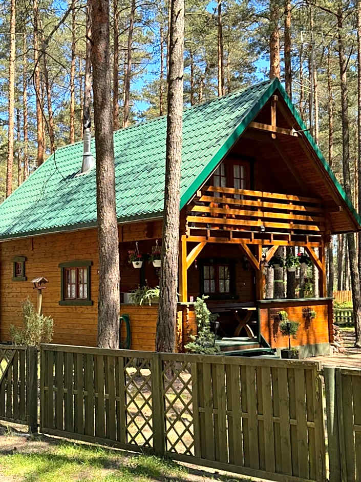 Photo 1 of 50 of Domek Borsk