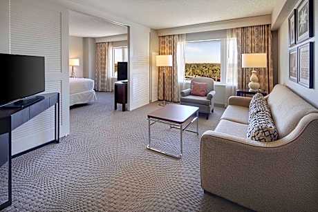 Suite, 1 Bedroom (1 Double Bed)