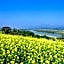 Hotel Silk in Madarao - Vacation STAY 79652v