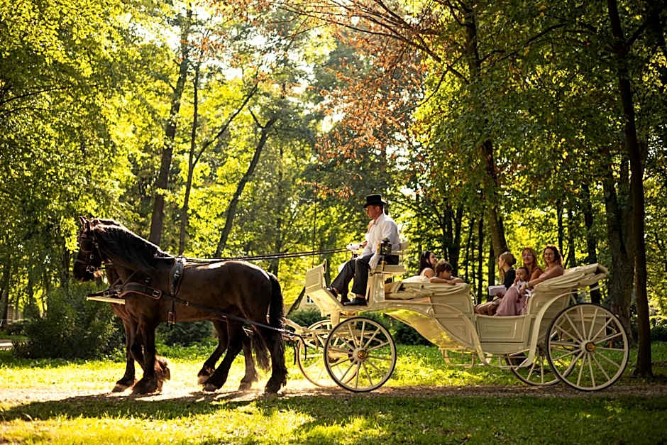 Hotel Pałac Alexandrinum