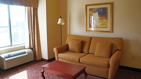 1 King Bed Studio Suite W/ Sofabed Nonsmoking