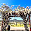 Nightingale Wines Luxury Villas