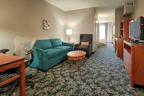 One-Bedroom King Suite with Sofa Bed