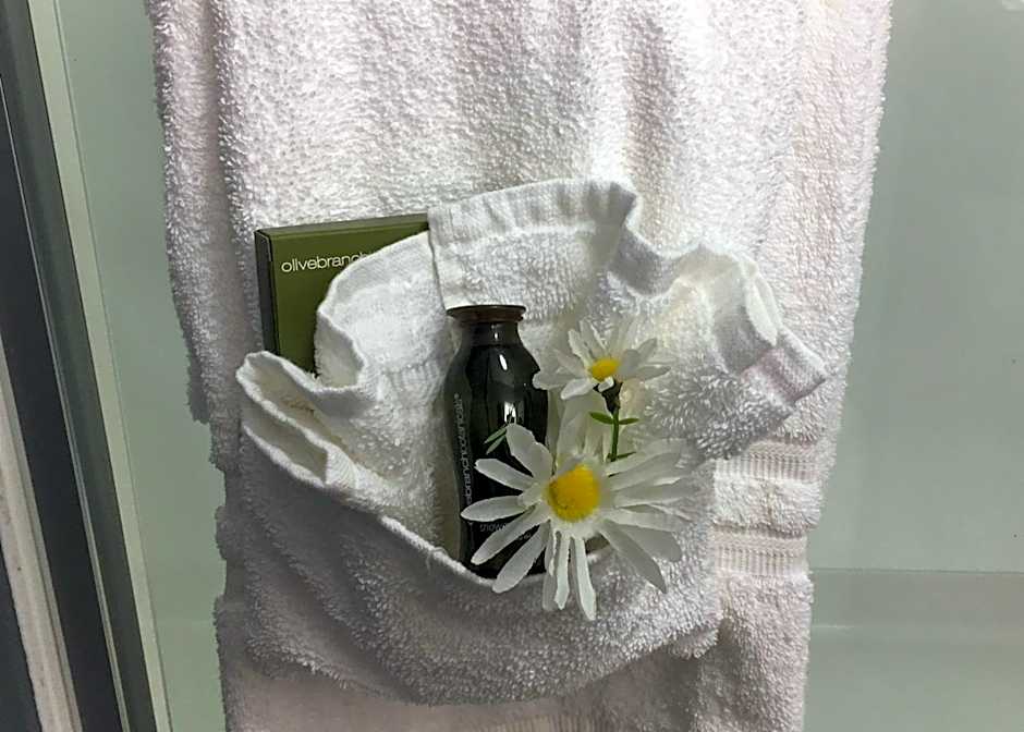 Gundersen Hotel & Suites