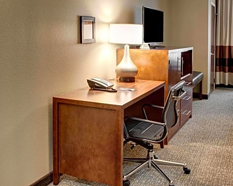 1 King Bed, Suite, Nonsmoking, Accessible