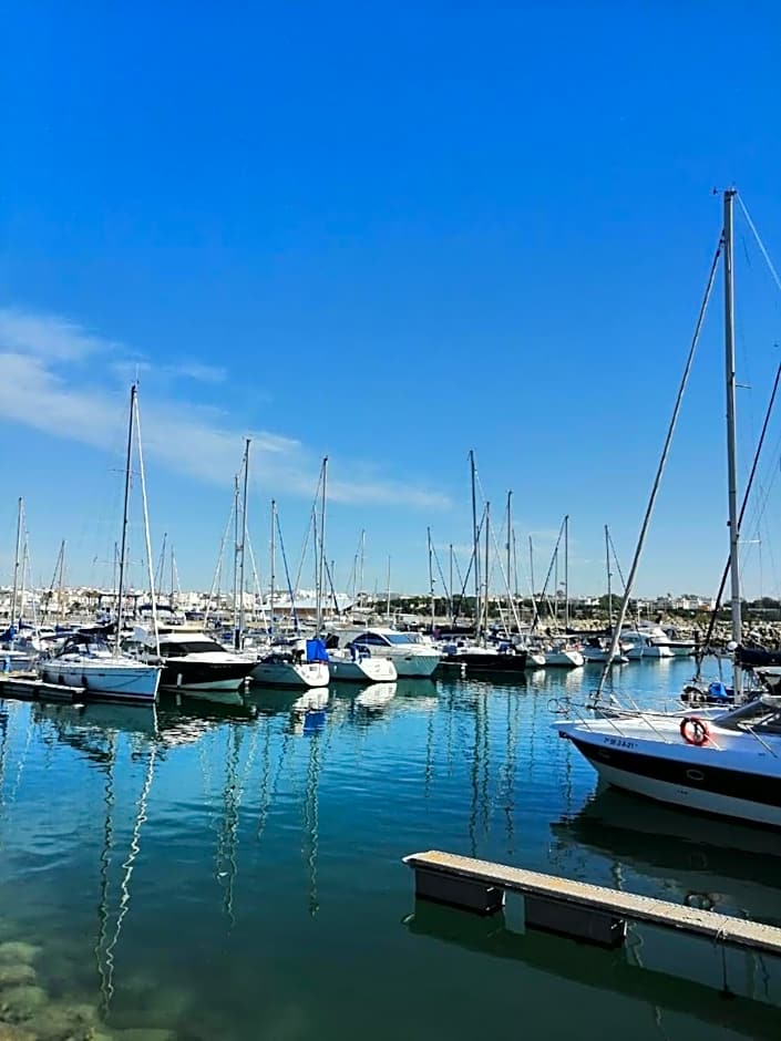 The Farm Tiny House - Tiny Casa
