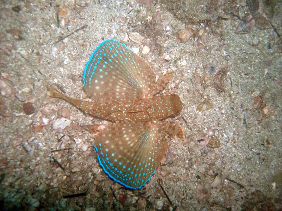 Pousada Laguna Hotel