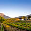 Mont Angelis