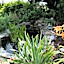 Gardenview Bed and Breakfast 
