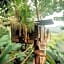Bird Hills Bamboo House