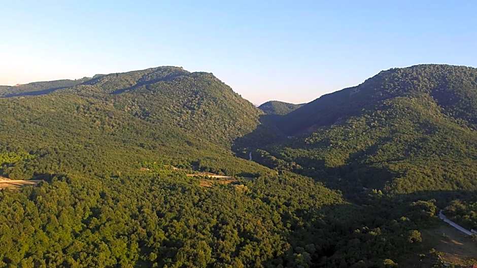 PASHA APART~BOUTİQUE HOTEL/YALOVA