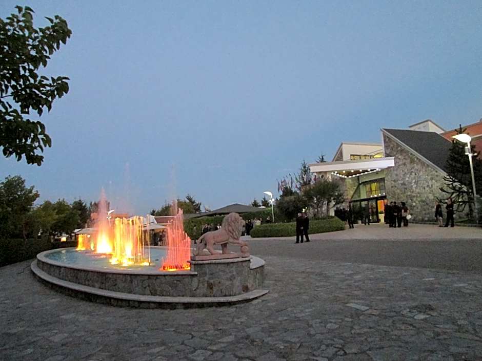 Palahotel Vallenoce