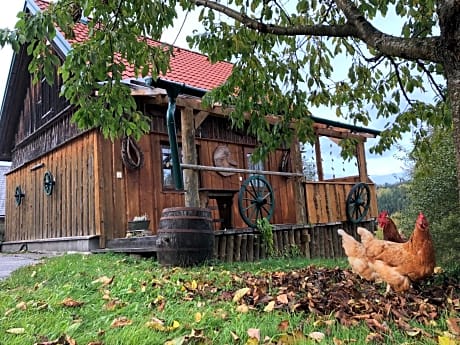 Ferienhaus FRIEDLHOF
